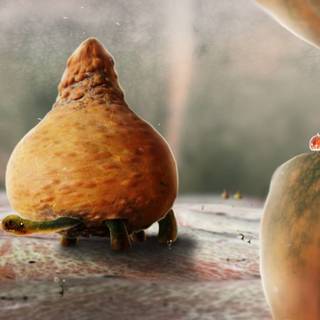 Botanicula wallpaper