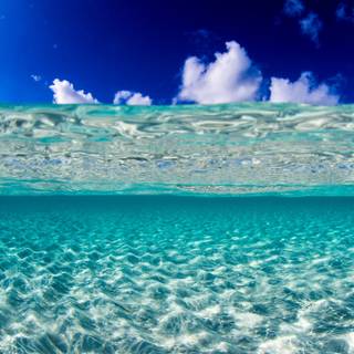 Half underwater wallpaper