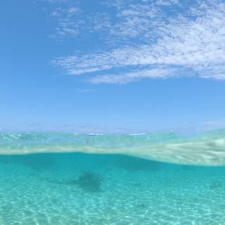 Half underwater wallpaper