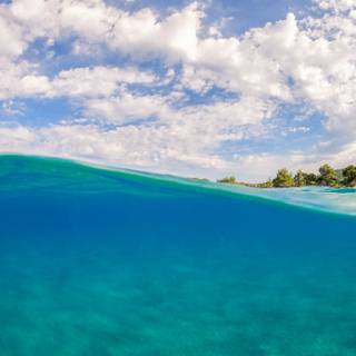 Half underwater wallpaper