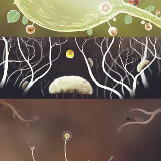 Botanicula wallpaper