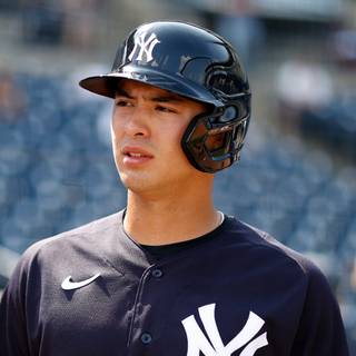 Anthony Volpe wallpaper