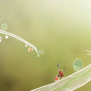 Botanicula wallpaper