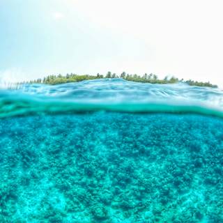 Half underwater wallpaper