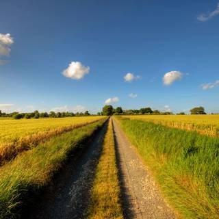 Country people wallpaper