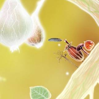 Botanicula wallpaper