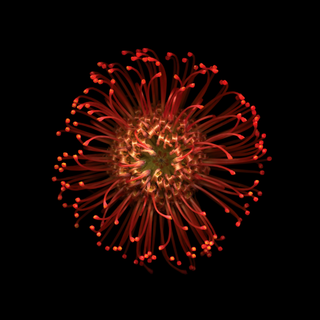 4k iPhone 15 Pro Max wallpaper