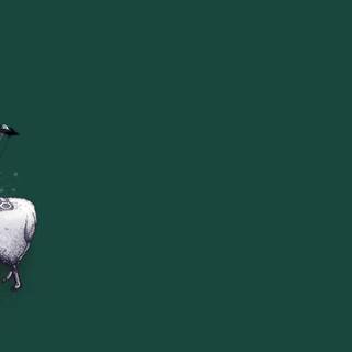 Funny sheep wallpaper