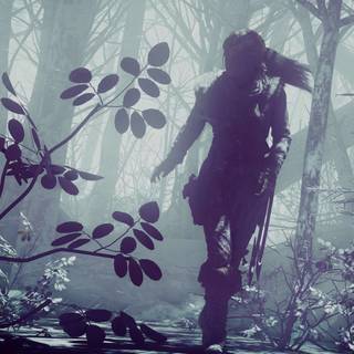 Rise of The Tomb Raider 4k wallpaper