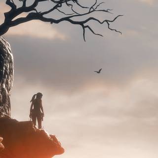 Rise of The Tomb Raider 4k wallpaper