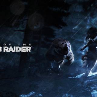 Rise of The Tomb Raider 4k wallpaper