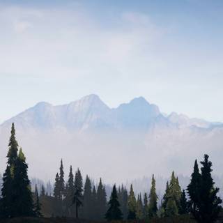 4k Far Cry wallpaper