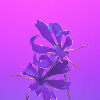 Purple flowers iPhone wallpaper