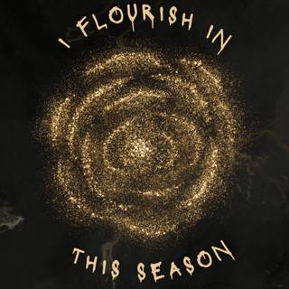 Oasis phone wallpaper