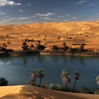 Sahara phone wallpaper