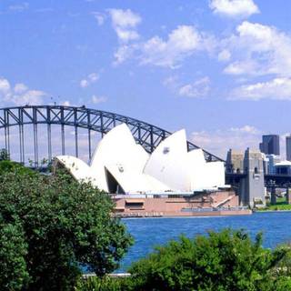 Sydney phone wallpaper