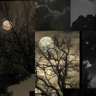 iPhone 13 moon wallpaper