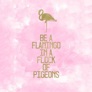 Be A Flamingo In A Flock of Pigeons wallpaper