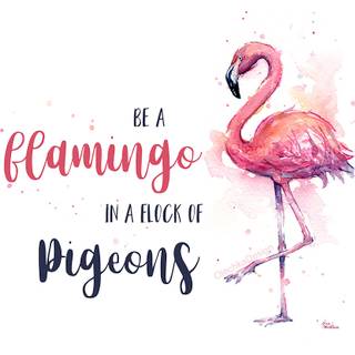 Be A Flamingo In A Flock of Pigeons wallpaper