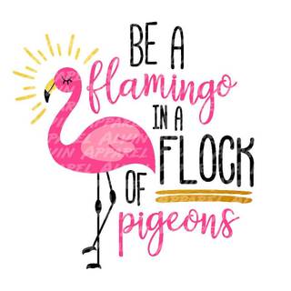 Be A Flamingo In A Flock of Pigeons wallpaper
