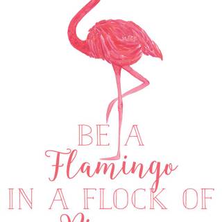 Be A Flamingo In A Flock of Pigeons wallpaper