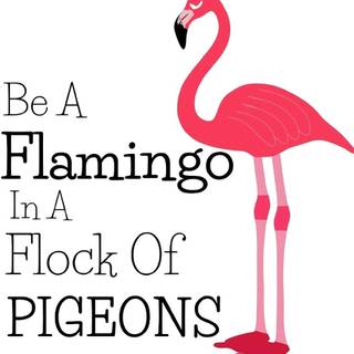 Be A Flamingo In A Flock of Pigeons wallpaper