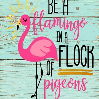Be A Flamingo In A Flock of Pigeons wallpaper