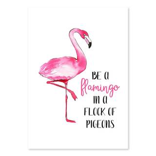 Be A Flamingo In A Flock of Pigeons wallpaper