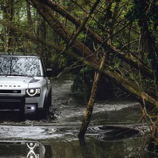 Car crawling wallpaper