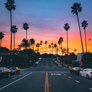 California dreaming wallpaper