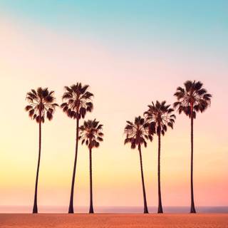 California dreaming wallpaper