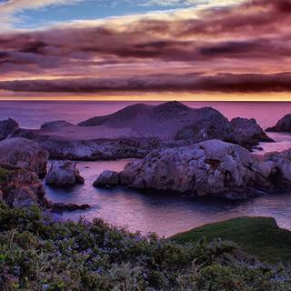 California dreaming wallpaper