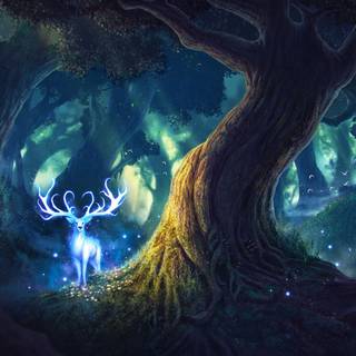 Magic nature wallpaper