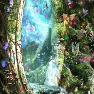 Magic nature wallpaper