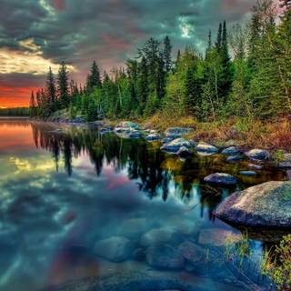 Magic nature wallpaper