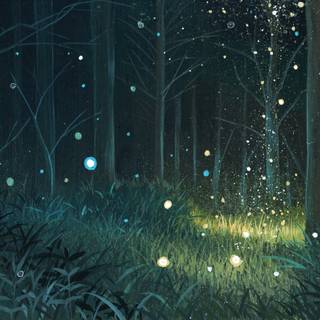 Magic nature wallpaper