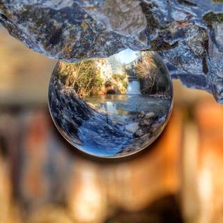 Magic nature wallpaper