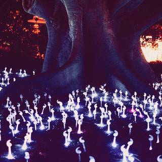 Magic nature wallpaper