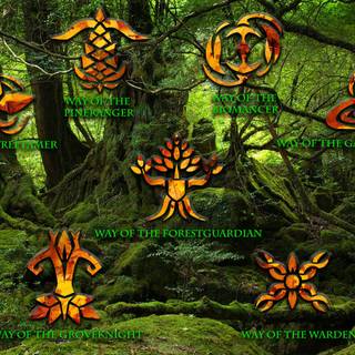 Magic nature wallpaper