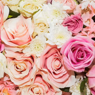 Pastel rose wallpaper