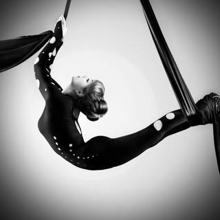 Aerial silks wallpaper