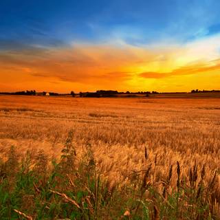 Country laptop wallpaper