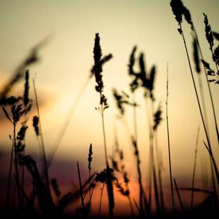 Country laptop wallpaper