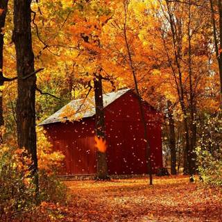 Autumn cabin wallpaper
