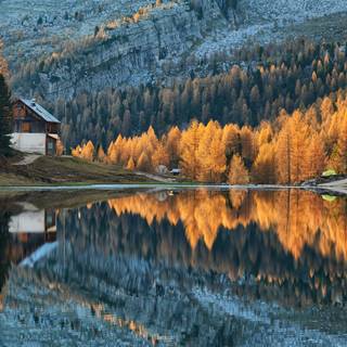 Autumn cabin wallpaper