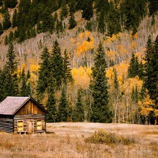 Autumn cabin wallpaper
