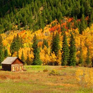 Autumn cabin wallpaper