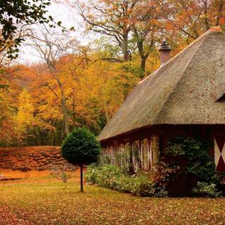 Autumn cabin wallpaper
