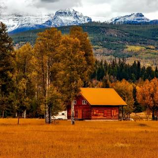 Autumn cabin wallpaper