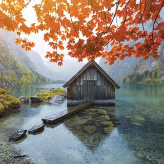 Autumn cabin wallpaper